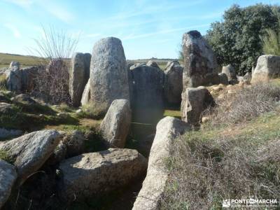 Ciudad de Vascos-Dolmen de Azután;tejo taxus baccata mochila espalda rutas y senderismo madrid